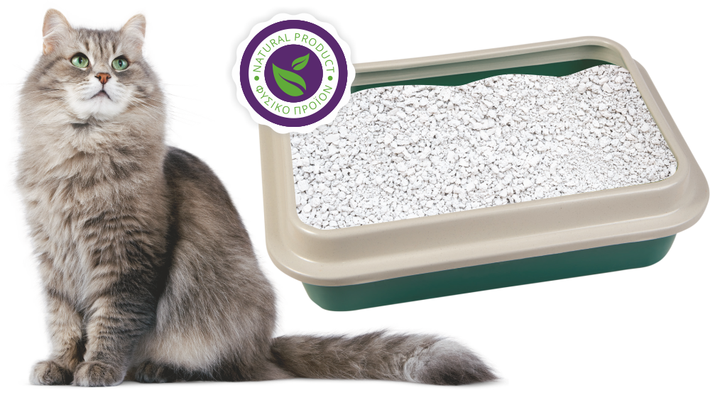 cat with litter box eco friendly